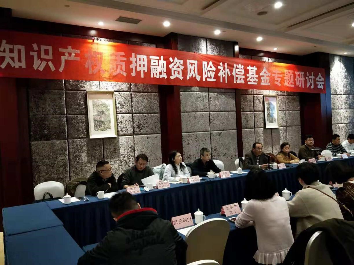省知识产权服务召开质押融资风险补偿基金专题研讨会
